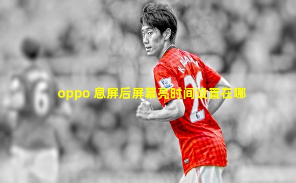 oppo 息屏后屏幕亮时间设置在哪